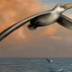 Imagen para el artículo titulado El ave más grande de la historia fue tan grande como un avión